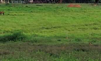 Imagem: Fazenda para Agricultura