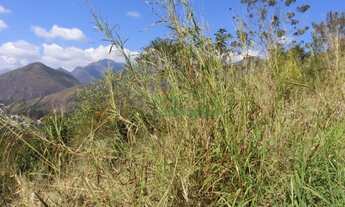 Imagem 2: Corrêas, terreno em ótima localização