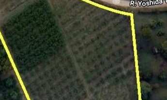 Imagem 3: SÍTIO - MACUCO - SP