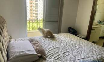 Imagem 7: APARTAMENTO - MORUMBI - SP