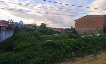 Imagem: 2 terreno juntos