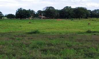 Imagem 5: Fazenda para Agricultura
