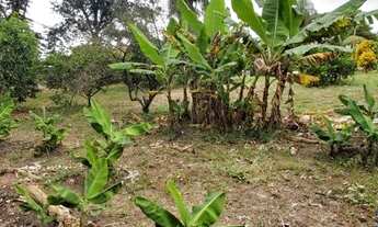 Imagem 3: TERRENO - JARDIM CURRUPIRA - SP