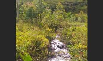 Imagem 5: São Bonifácio - Chácara - Rio do Poncho