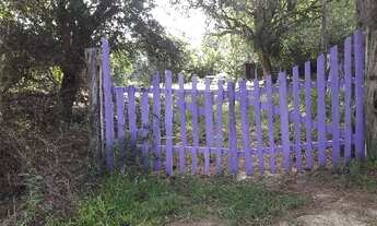 Imagem 2: Porto Alegre - Terreno Padrão - Lageado