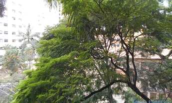 Imagem 4: APARTAMENTO - JARDIM AMÉRICA - SP