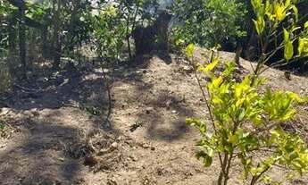 Imagem 2: Vendo Terreno em Porto Dourado/Serra - 1450m2