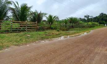 Imagem 6: Vendo um Sítio no Rio Preto Da Eva KM 21