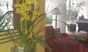 Imagem 7: APARTAMENTO - PARAÍSO - SP