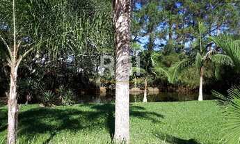 Imagem 6: Porto Alegre - Sítio - São Caetano