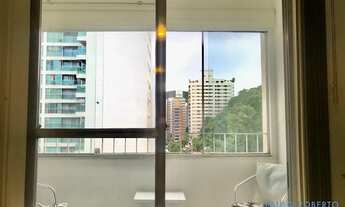 Imagem 2: APARTAMENTO - BARRA FUNDA - SP