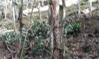 Imagem 7: Chácara Juquitiba- Miracatu