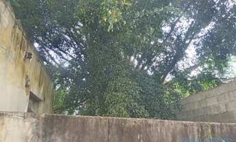 Imagem 7: AREA - MORUMBI - SP