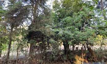 Imagem 5: AREA - PARQUE RESIDENCIAL ITAPETI - SP