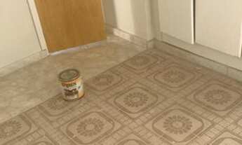 Imagem 3: Apartamento de 1 quarto, cozinha, banheiro e área de serviço