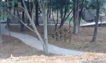 Imagem 5: AREA - PARQUE RESIDENCIAL JUNDIAÍ II - SP