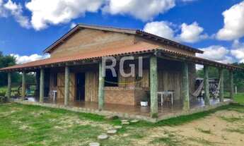 Imagem 3: Porto Alegre - Sítio - Lami