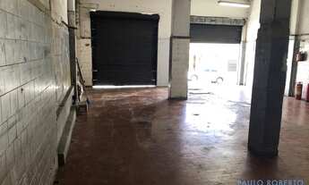 Imagem 3: LOJA - CASA VERDE - SP