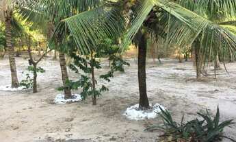 Imagem 5: Vendo sítio Chácara com venda por R$150.000