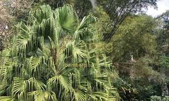 Imagem 10: Jardim dos Estados- Alto da Boa Vista