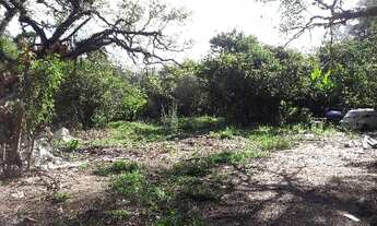 Imagem 4: Porto Alegre - Terreno Padrão - Lageado