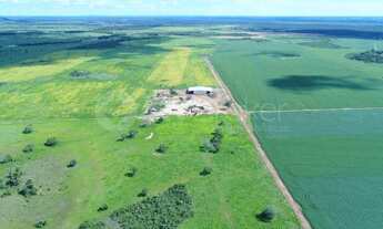 Imagem 4: Lote Jardins Versalhes