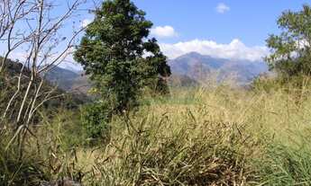 Imagem 4: Corrêas, terreno em ótima localização