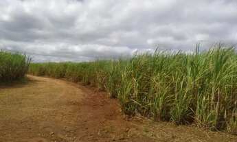 Imagem: Fazenda de 106,5 alqueires em cana no asfalto