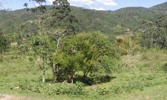Imagem 6: SÍTIO - SÃO JOÃO DO RIO VERMELHO - SC