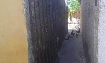 Imagem 4: Casa Casa com 2 dormitórios