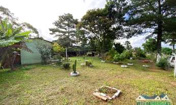 Imagem 7: Sítio dos seus sonhos em Águas Claras, com casa e diversas frutíferas