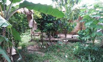 Imagem 5: Vendo ou troco por apto viver melhor. Leiaa a descrição!