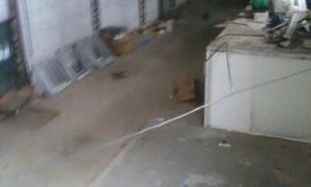 Imagem 7: GALPÃO - BUTANTÃ - SP