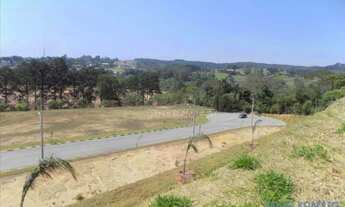 Imagem 2: AREA - PARQUE DOM HENRIQUE - SP