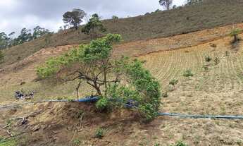 Imagem 7: Propriedade em São Rafael - Distrito de Aracê - Domingos Martins ES