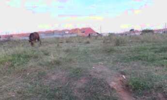 Imagem 5: Porto Alegre - Terreno Padrão - Aberta Dos Morros
