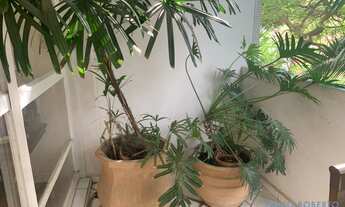 Imagem 6: APARTAMENTO - JARDIM AMÉRICA - SP