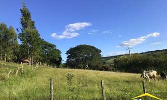 Imagem 5: Fazenda/Sítio/Chácara para venda possui 20000 metros quadrados em Lomba Grande - Novo Hamb