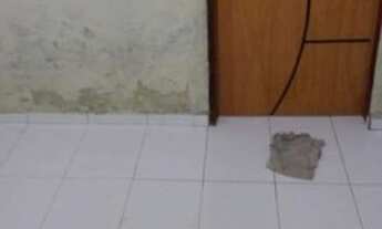 Imagem 3: Casa pra alugar Casa com 1 dormitório