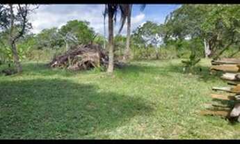 Imagem 4: SITIO EM ITACARÉ BAHIA. VENDO OU TROCO