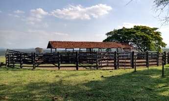 Imagem 2: Fazenda 97 Alqueires, Região de Botucatu-Sp