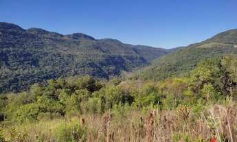 Imagem: Sítio / Chácara para Venda em Nova Petrópolis
