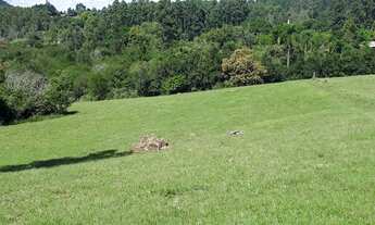 Imagem 2: Chácara em Nova Hartz