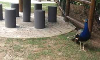 Imagem 6: TERRENO EM CONDOMÍNIO - CONDOMÍNIO RESIDENCIAL MANTIQUEIRA - SP