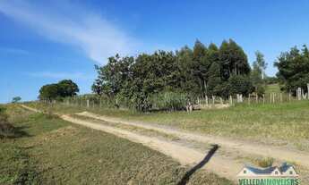 Imagem 3: Sítio em Águas claras 3 hectares somente 4 km do asfalto