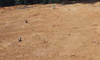 Imagem 3: Lote com mil metros quadrados