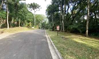 Imagem 3: Gramado - Terreno Padrão - Mato Queimado