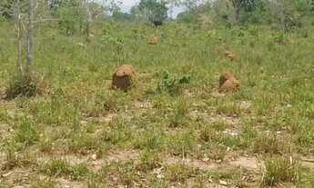 Imagem 7: Fazenda c/ 4.767he, área aberta degradada, possui autorização, terra boa, Caceres-MT