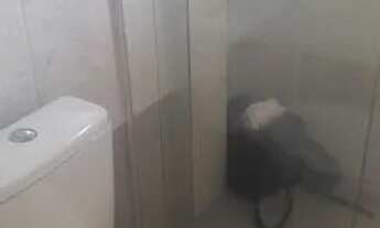 Imagem 5: Alugo iririu Apartamento com 2 dormitórios