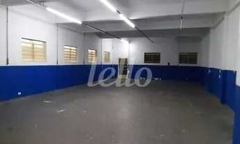 Imagem 3: São Paulo - Galpão/Depósito/Armazém - Vila Matilde